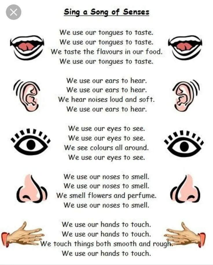 Poems about body Parts. 5 Senses poem. Senses poem for Kids. 5 Senses poem for Kids.