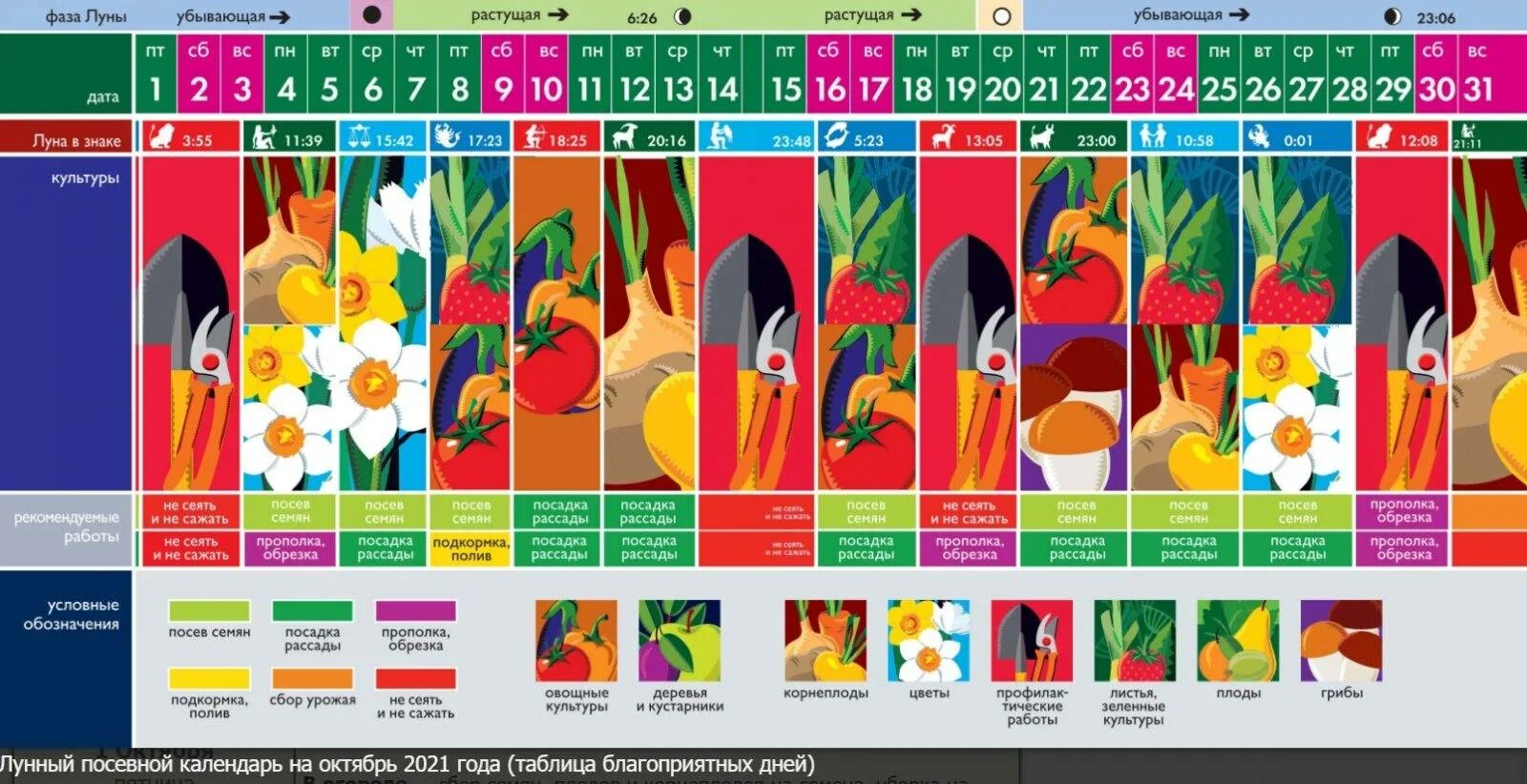 Лунный календарь на октябрь. Лунный календарь на октябрь 2021. Лунный посевной календарь на октябрь. Лунный календарь на октябрь садовода и огородника. Лунный календарь октябрь календарь на октябрь 2021.