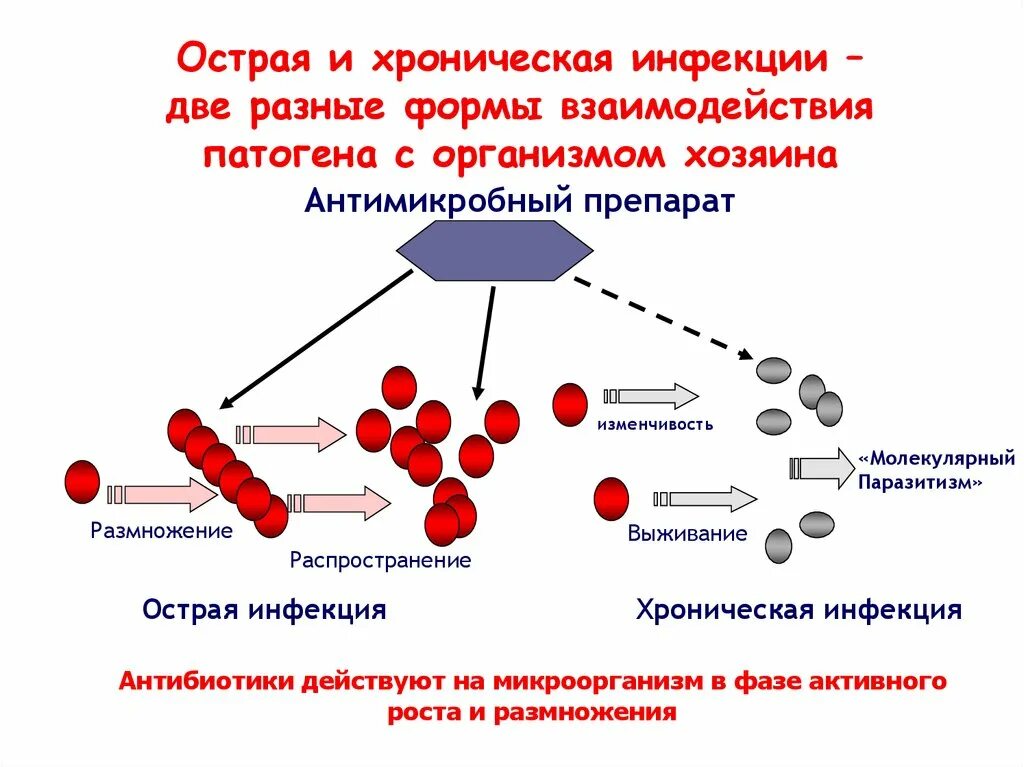 Острые хронические заболевания. Острая и хроническая инфекция. Хронические инфекции примеры. Хроническая форма инфекции это.