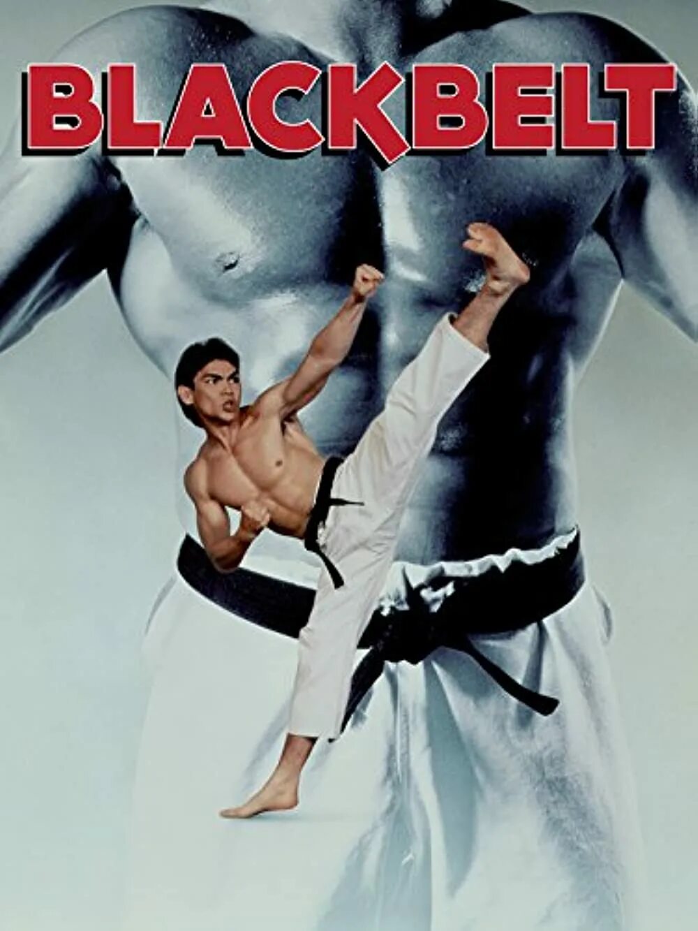 Черный пояс 2007. Дон дракон Уилсон черный пояс. Blackbelt, 1992. Черный пояс (1992) Blackbelt.