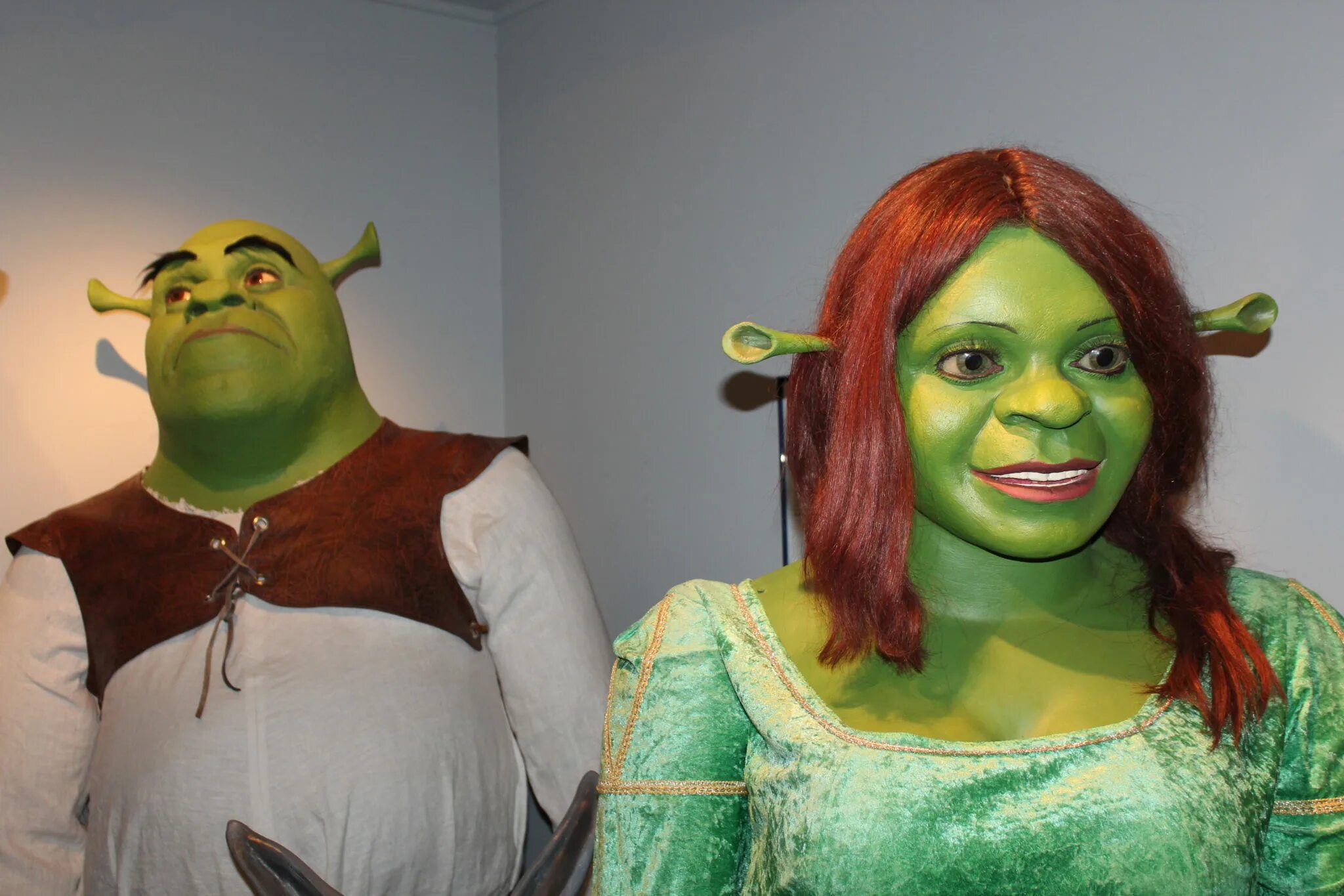 Как звали девушку шрека. Шрек и фиона. Дети шрека и фионы. Принцесса фиона шрек. Как звали девушку шрека.