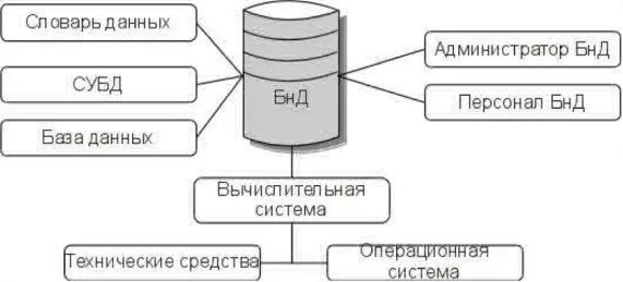 Пользователями баз и банков данных являются. Банк данных схема. БНД базы данных. Банки данных. СУБД И банки данных.