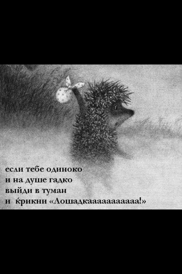 Смысл мультика ежик в тумане. Ежик в тумане. ежик в тумане плывет. ежик в тумане туман идти. ежик уходит в туман.