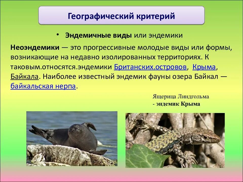 Какое животное является эндемиком