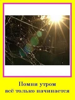 Случайное направление