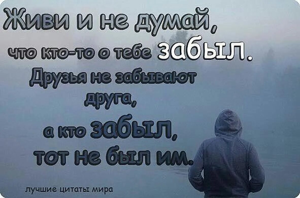 Но ты забыл что жизнь. Цитаты про потерю друзей. Фразы про потерю друга. Цитаты про друзей которые забыли про тебя. Цитаты про забытых людей.