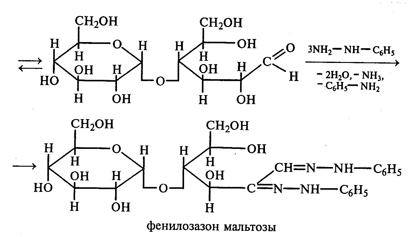 Озазон мальтозы. Лактоза и Фенилгидразин. Реакция Троммера с мальтозой. Гидролиз мальтозы формула. Гидролиз гидроксида меди 2