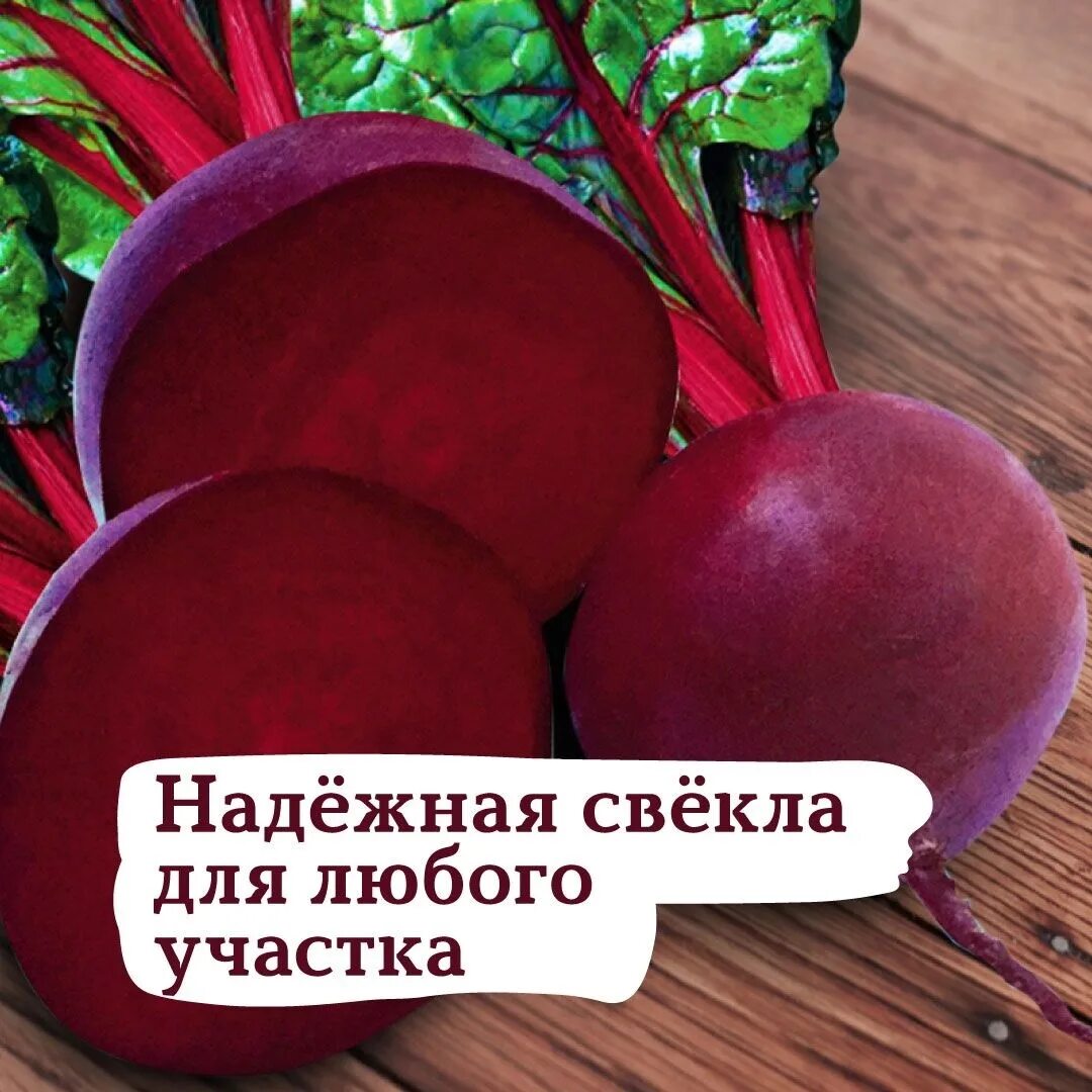 Свекла сорт для средней полосы. Свекла столовая кардиал f1. сорт свеклы кардинал f1. свекла кардинал саката. свекла столовая кардинал f1 голландия.