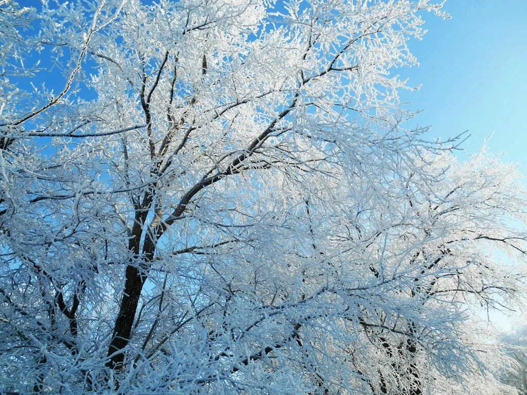 Белый минутка. Минутка мастерская екатеринбург сакко. Эмблема ресторана минутка. Белый минутка. Кафе минутка логотип.