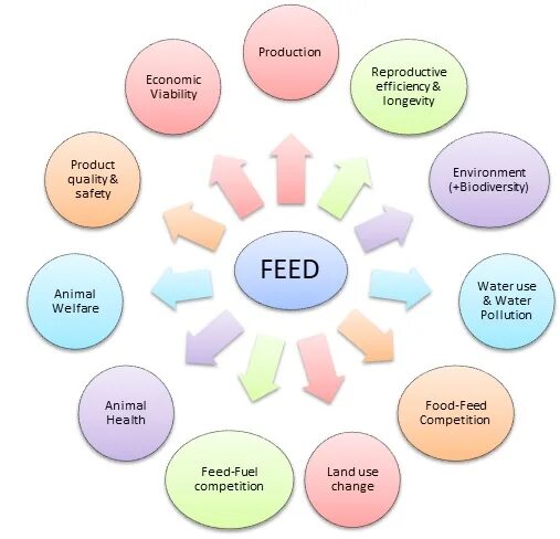Feed for as. Стадии проекта стадия feed. pre feed стадия. pre-feed проектирование что это. feed документация что это.