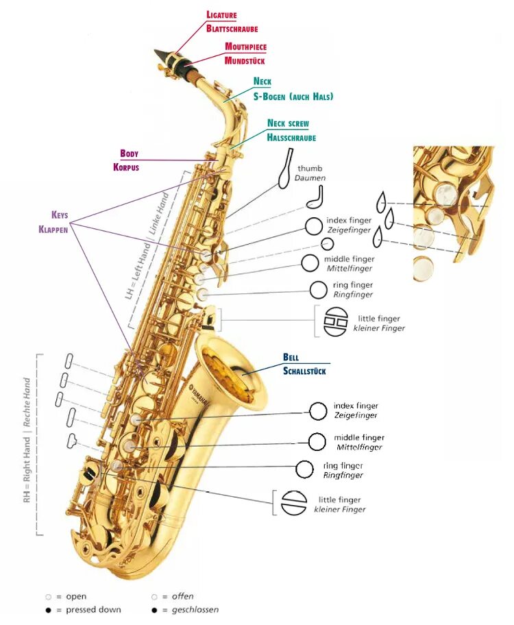 Научиться на саксофоне с нуля. Октавный клапан на саксофоне Альт. Схема саксофона Альт. Устройство саксофона Альт схема. Клапан фа диез Альт саксофон.
