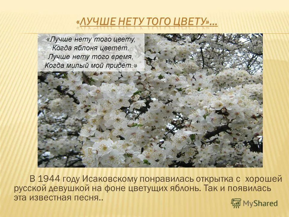 Лучше нету того цвета