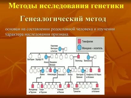 Клинико генетический метод