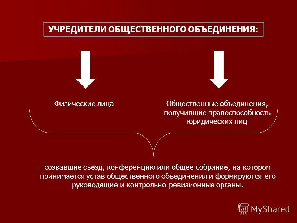 Организация без учредителей