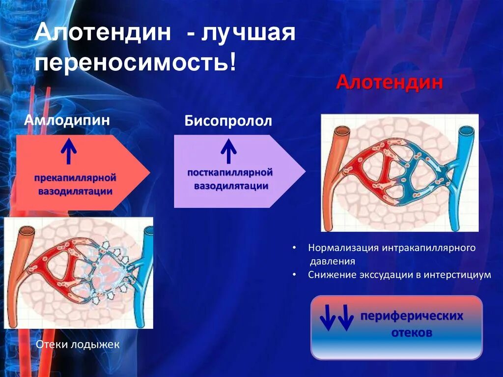 Механизм действия амлодипина. Амлодипин отеки механизм. Периферическое кровообращение. Резистентность периферических сосудов.
