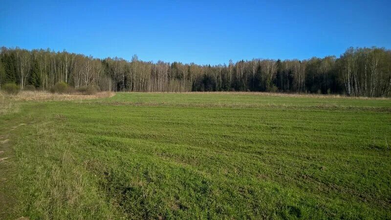 Поле около Щербатовки. Поле рядом с Малаховкой. Поля около Петрозаводска. Поле неподалеку ЕКБ. Икша долгиниха 47