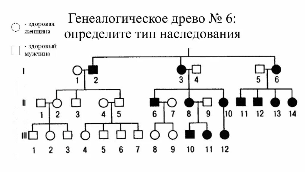 Основные типы наследования. Родословная типы наследования. генеалогическое дерево. генетическое дерево. виды генеалогических деревьев.