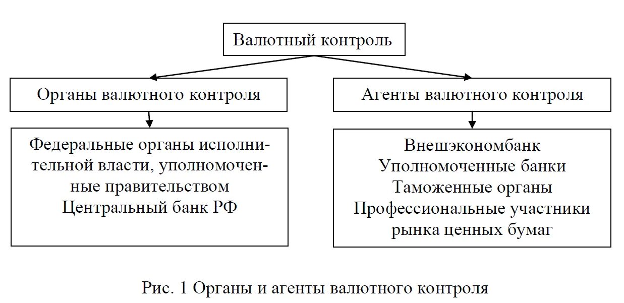 Система валютного контроля в РФ. Агенты валютного контроля схема. Система органов валютного регулирования и валютного контроля РФ. Агенты валютного контроля в РФ. Валютный контроль цб рф