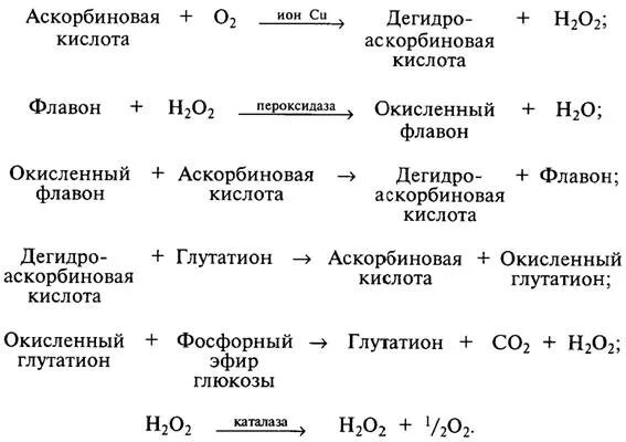 Метаболизм дрожжей