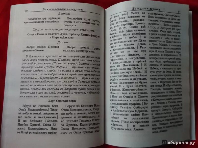 Воскресная служба текст. Божественная литургия книга. Книга объяснение литургии. Божественная литургия для детей с пояснениями. Литургия чинопоследование с пояснениями.