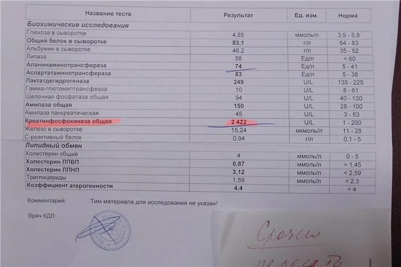 Аст алт повышена у собак. Анализы алт и АСТ норма. Анализы крови алт выше нормы. Алт крови норма/АСТ норма. Алт биохимический анализ крови расшифровка.