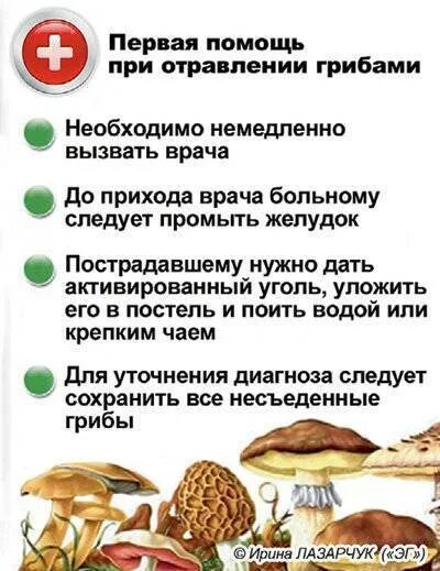 Как оказать первую помощь при отравлении грибами. Оказания первой помощи при отравлении гри. действия при отравлении ядовитыми грибами. правила оказания первой помощи при отравлении грибами. оказание первой помощи при отравлении ядовитыми грибами.