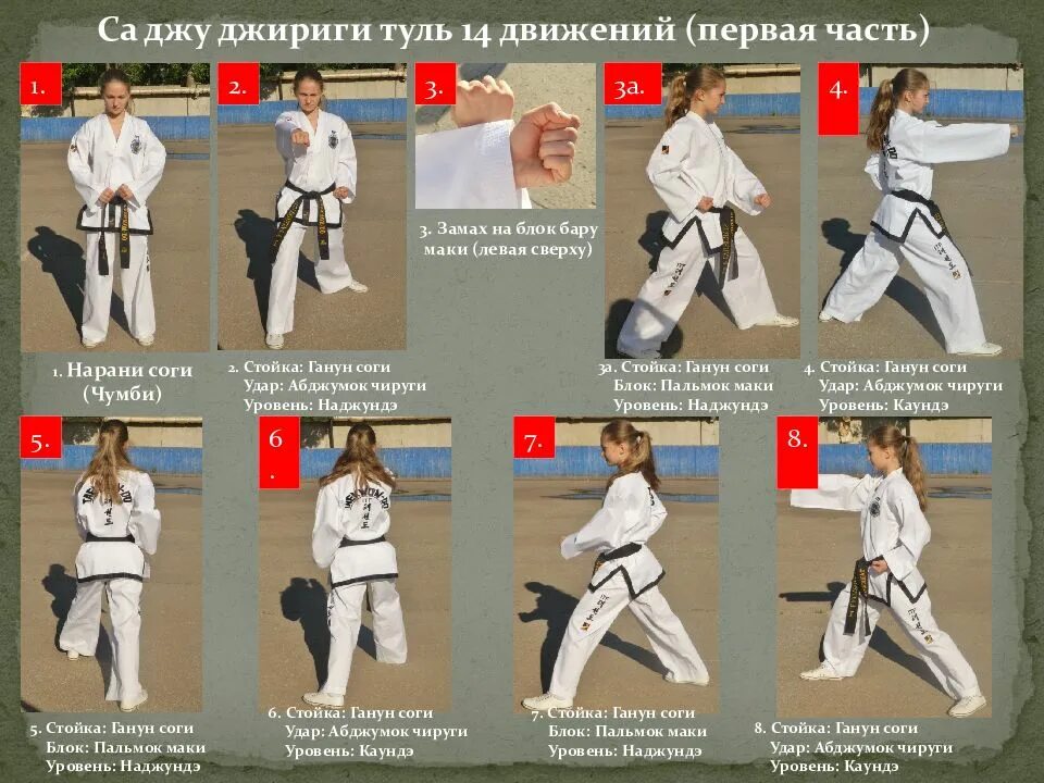 Хана туль сет нет