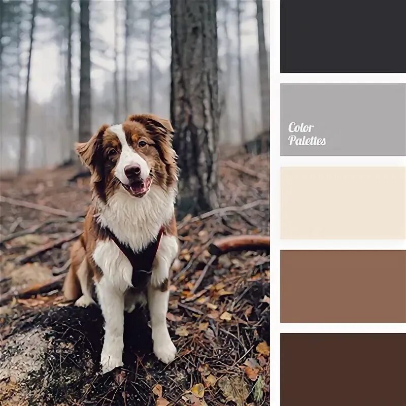 Color Palette #3317 (Color Palette Ideas) Color palette, Color schemes colour pa