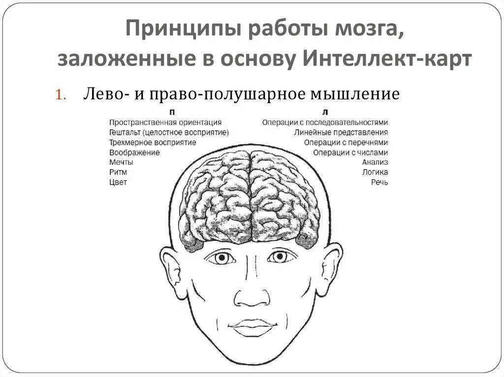 Факторы влияющие на мозг. Принципы работы мозга. Интеллектуальная карта мозг. Основные принципы работы мозга. Мышление и интеллект.