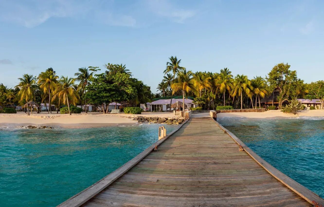 Caribbean сайт. Карибский пляж. Море карибы. Тропический рай фото. Пляж.