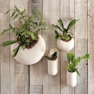 Planter's