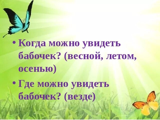 Когда можно увидеть бабочку. Какую бабочку можно увидеть весной. Каких бабочек можно увидеть летом. Когда появляются бабочки весной. В каком месяце бабочки