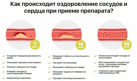 Как улучшить работу сосудов