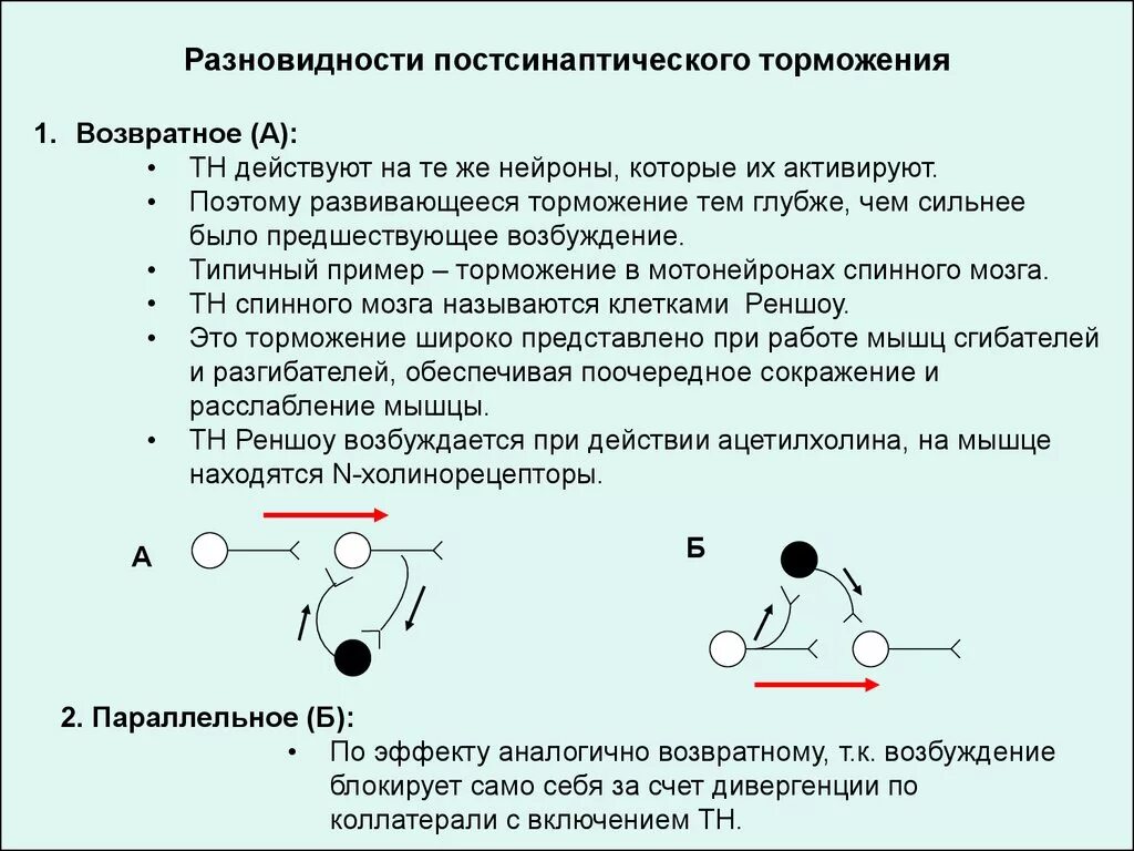 Мембранный механизм постсинаптического торможения.. Возвратное постсинаптическое торможение. Возвратное постсинаптическое торможение физиология. Возвратное торможение характеризуется:. Возвратное торможение