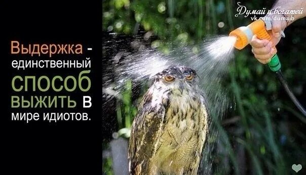 Лучший выдержать