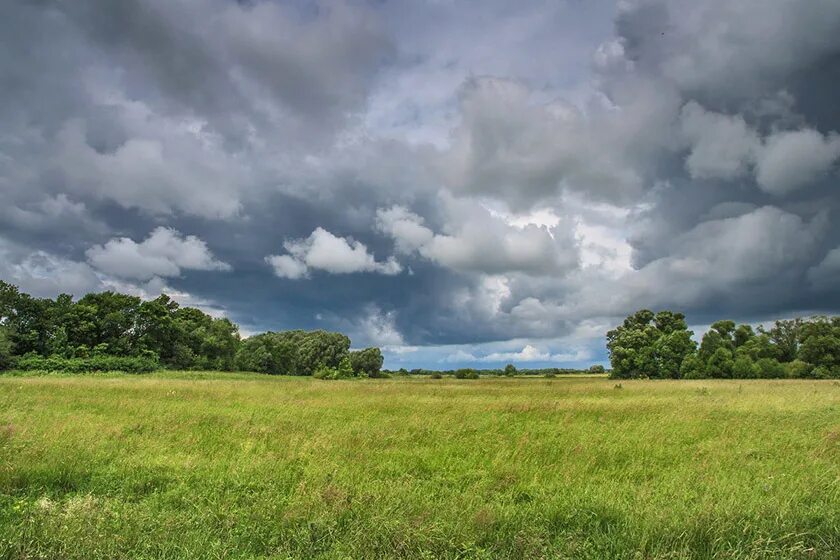 Грозовые тучи. Пасмурный пейзаж. Какая пасмурно. Пасмурное небо. Какая пасмурно.