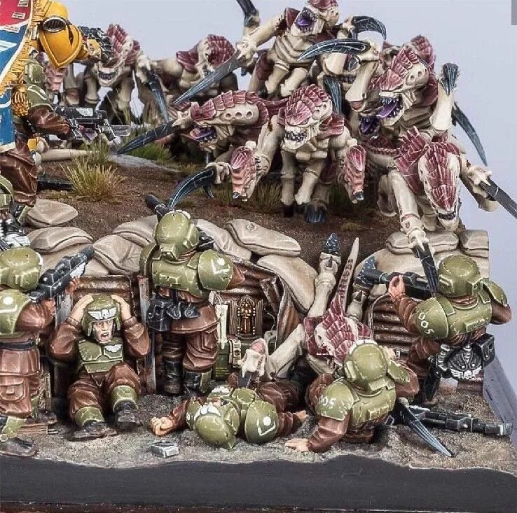 Rogue trader toy box