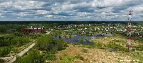Мстера вязниковский
