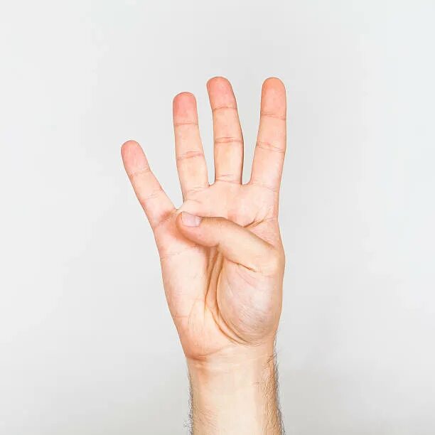 4 пальца. 4 пальца. Четыре пальца. 4 пальца. Указательный палец.