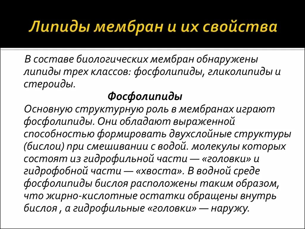 Свойства функции мембраны. Функции мембранных липидов. Липиды в составе мембраны. Липиды мембран и их свойства. Свойства фосфолипидов мембраны.