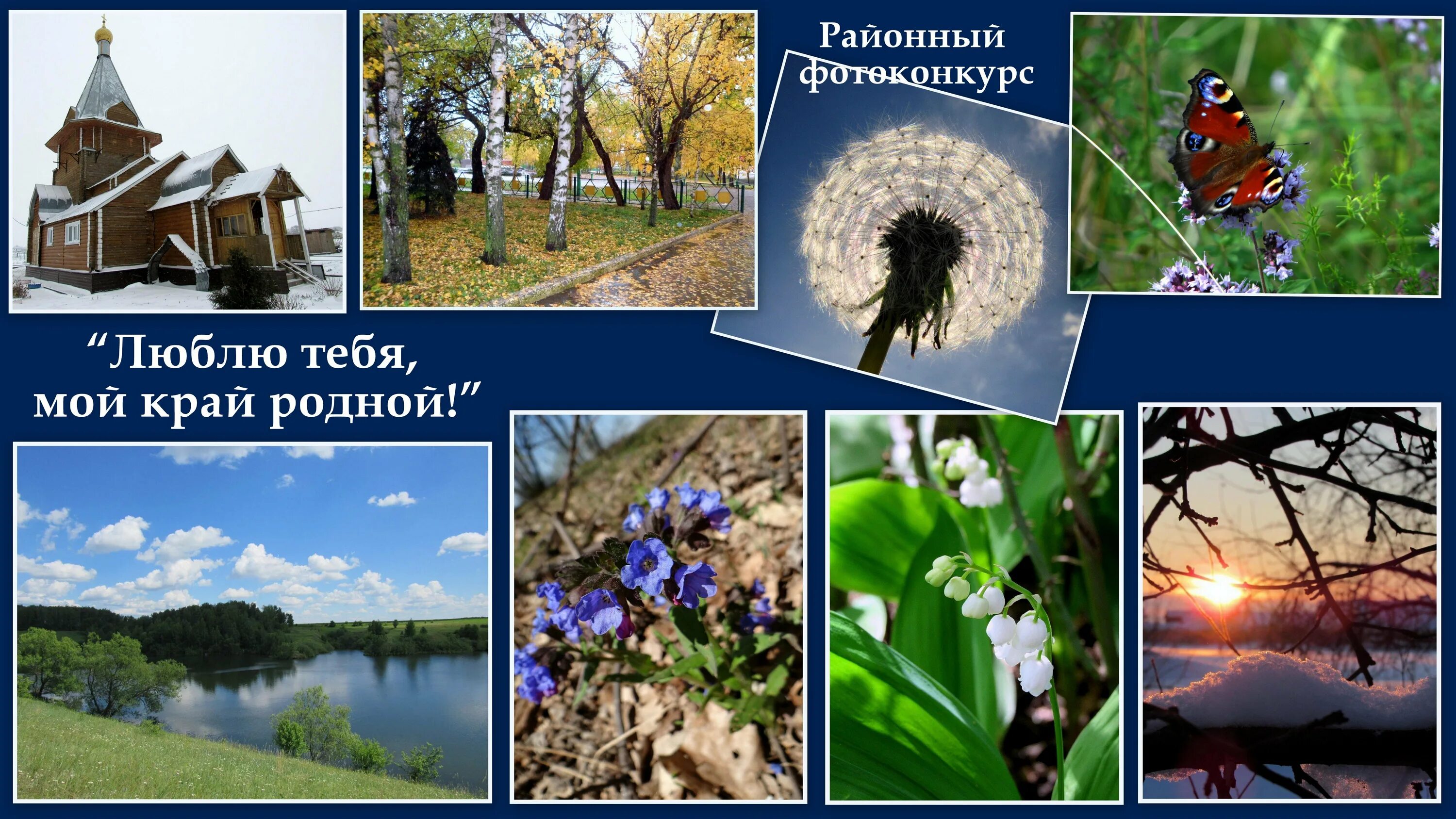 Родной край выборы. Мой родной край. Фотоконкурс мой родной край. Люблю тебя мой край родной. Фотоконкурс природа родного края.