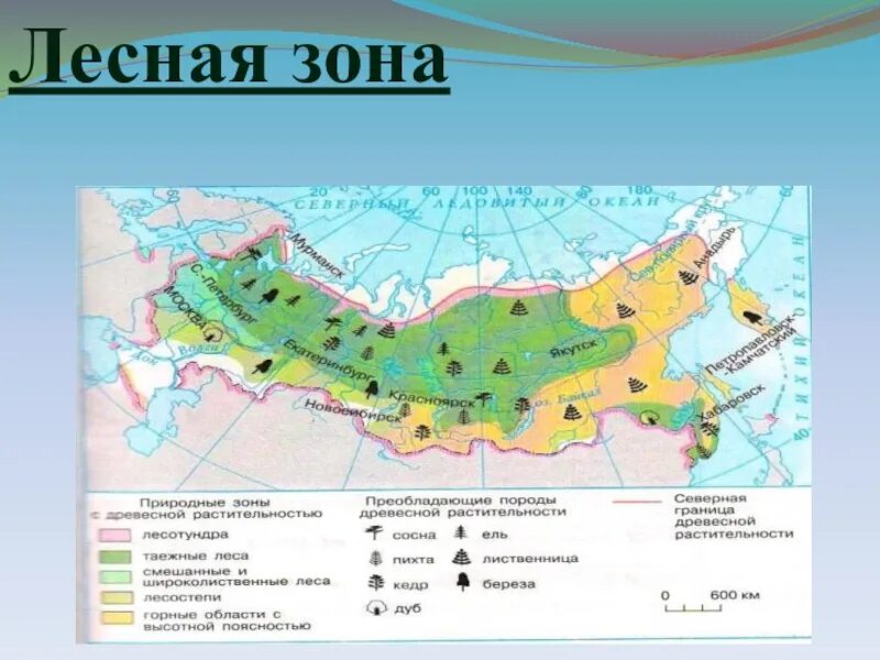 Карта природных зон. Природные зоны России. Карта природных зон России. Лесные зоны России. Карта природные зоны купить