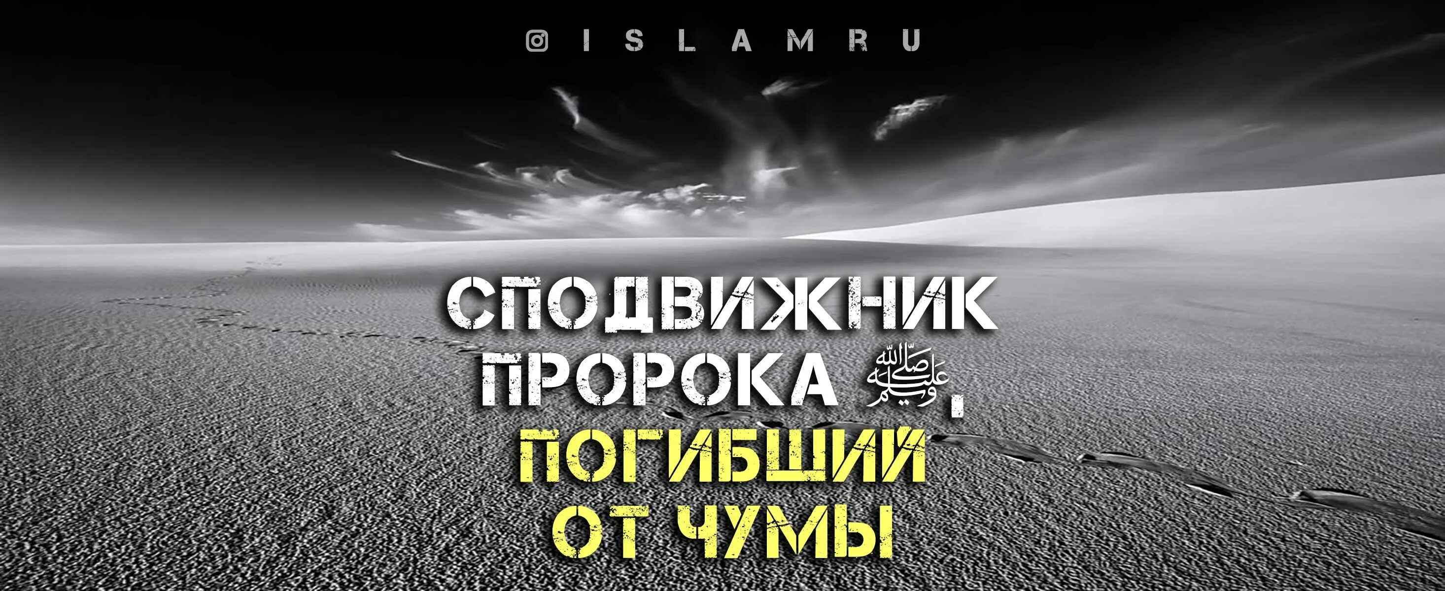 Абу Убайда ибн Джаррах. Сподвижники пророка. 10 Лучших сподвижников пророка. Сподвижник Абу Убайда ибн Аль Джаррах искренний воин. Убайда ибн аль джаррах