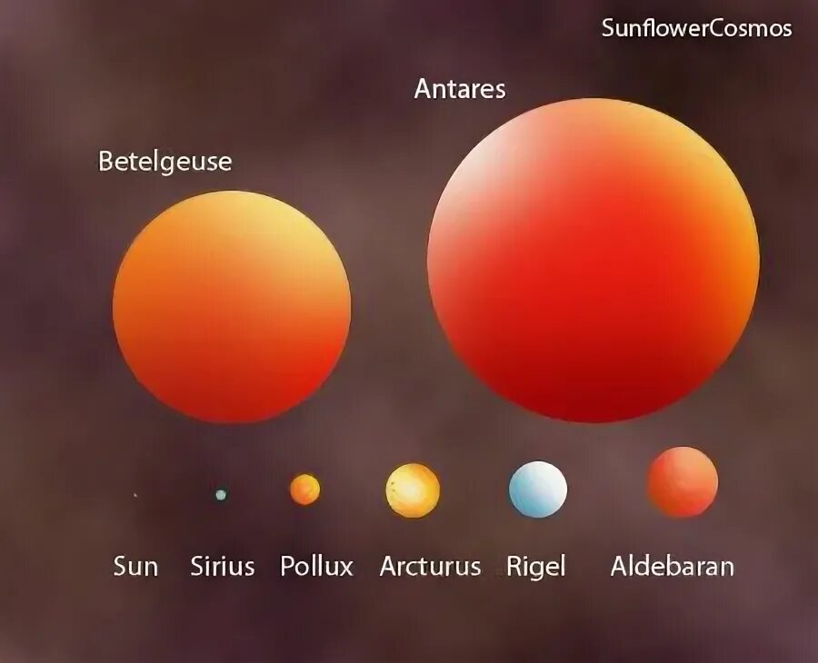Солнце Сириус Бетельгейзе. Полярная звезда и Бетельгейзе. Бетельгейзе и Сириус сравнение. Бетельгейзе и Антарес. Регул солнце сириус