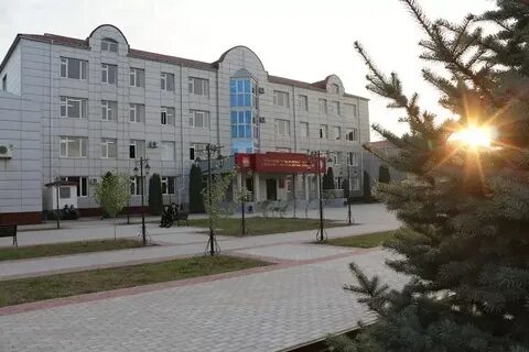 Экономический профессионально технический