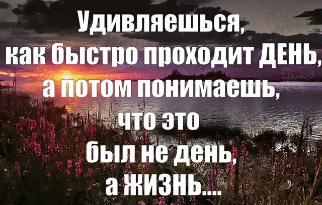 Как быстро проходит день. Жизнь проходит так быстро. Удивляешься как быстро проходит день. Жизнь быстро проходит стих.