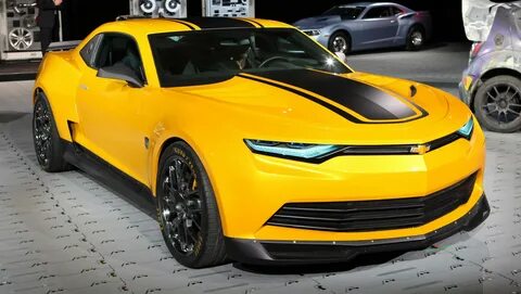 Bumblebee тунец фото
