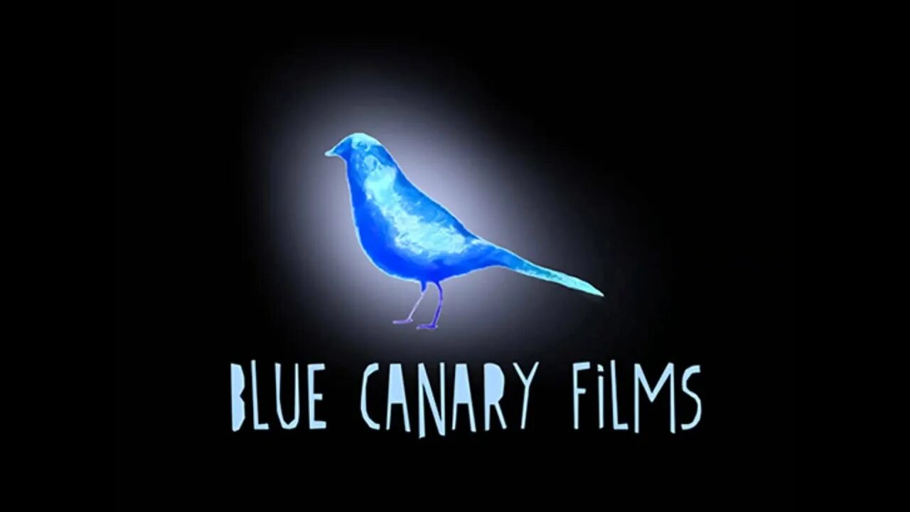 Vincent Fiorino Blue Canary. Голубые Фиорино канарейки. Enzo Amadori Blue Canary. Blue Canary Nikola Tomov. Blue canary текст