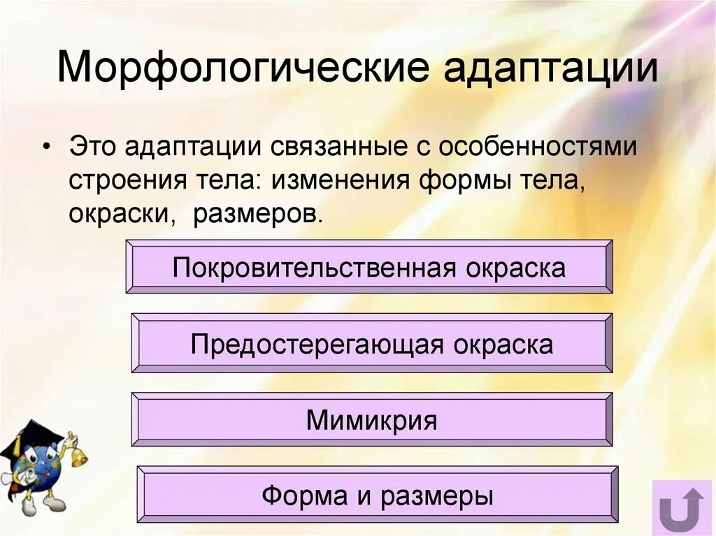 Слой адаптации. Морфологические адаптации. Виды морфологических адаптаций. Морфологические адаптации животных. Морфологические адаптации примеры.