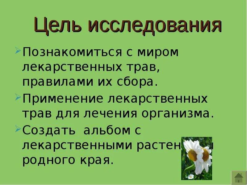 Цель проекта лекарственные растения в окрестностях г Презентация "Лекарственные растения нашего края" (4 класс) по окружающему миру -